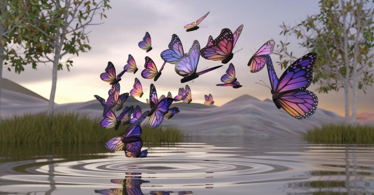 Collective Noun For Butterflies: A Guide To Their Collective Noun