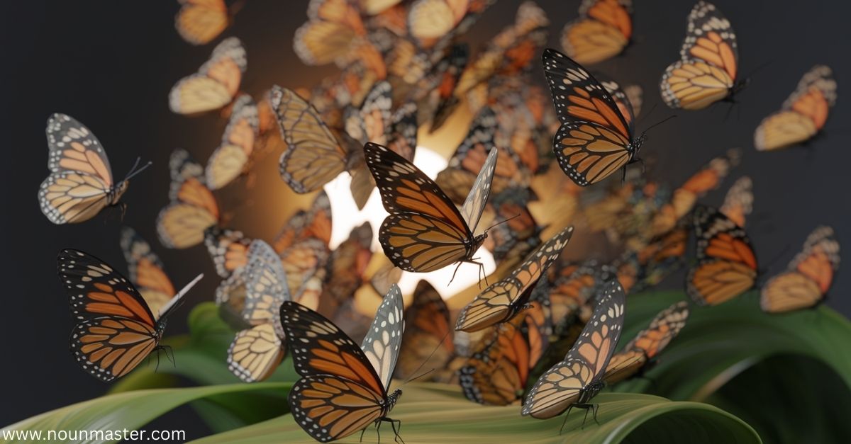 Collective Noun For Butterflies: A Guide To Their Collective Noun