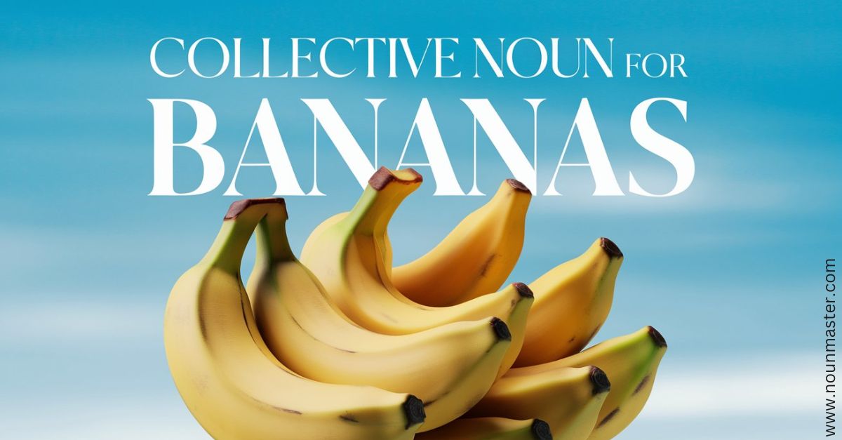 Collective Noun For Bananas