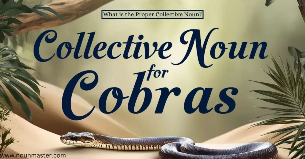 group-of-cobras-what-is-the-proper-collective-noun