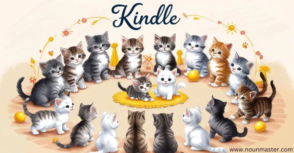 kindle-of-kittens