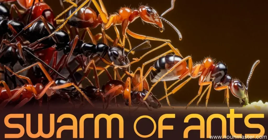 swarm-of-ants