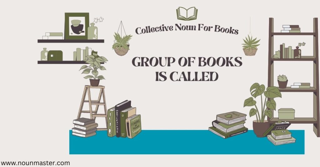 a-group-of-books-is-called-explore-the-correct-collective-noun