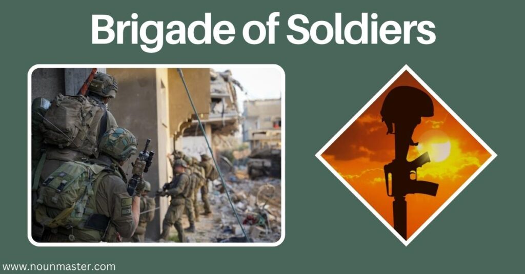 brigade-of-soldiers