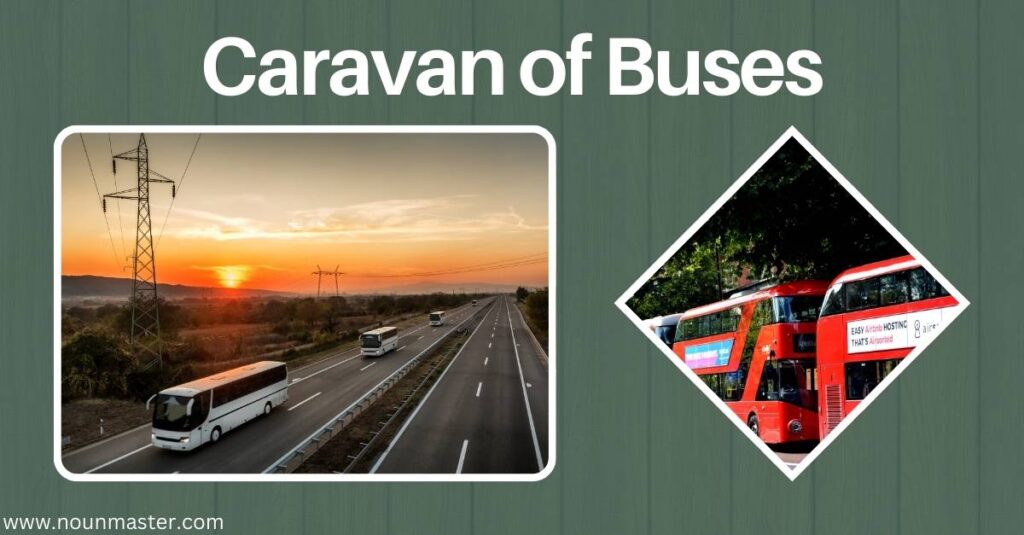 caravan-of-buses