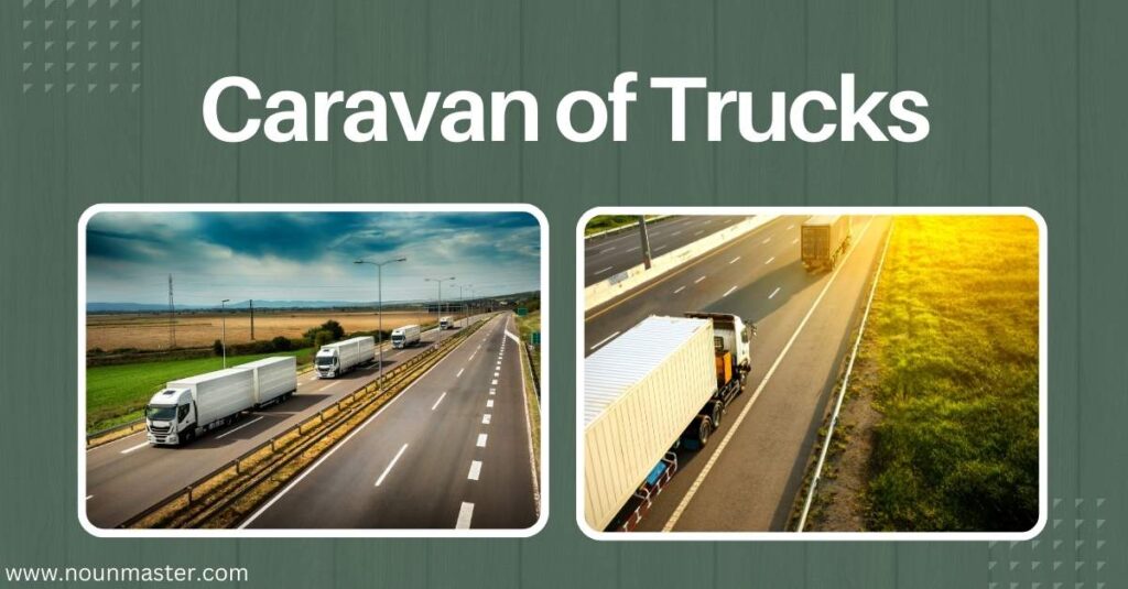 caravan-of-trucks