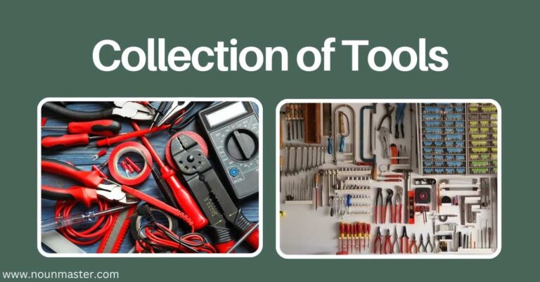 Collective Noun for Tools: Learn What a Group of Tools is Called