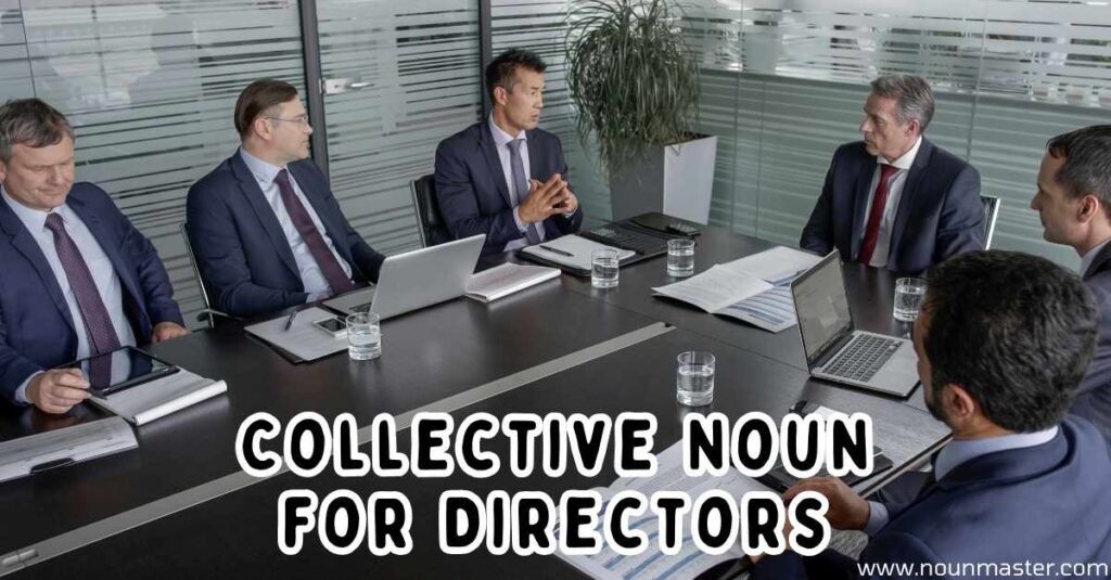 collective-noun-for-directors-discover-the-term-for-a-group-of-directors