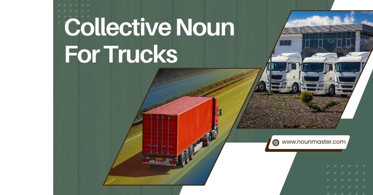 collective-noun-for-trucks-what-a-group-of-trucks-is-called