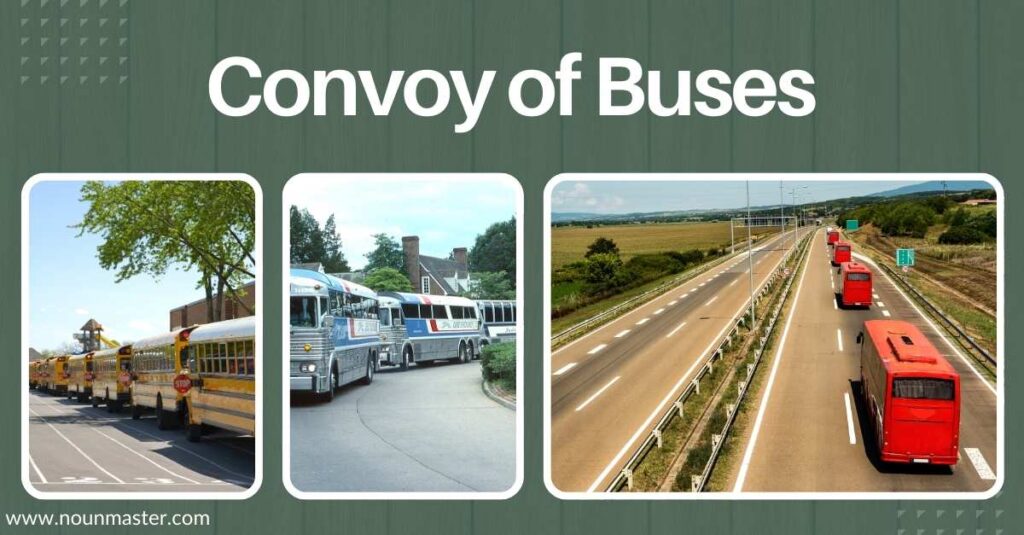 convoy-of-buses