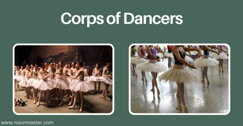 corps-of-dancers