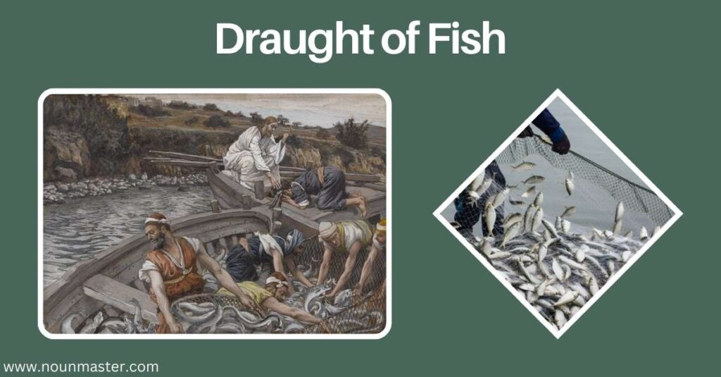 draught-of-fish