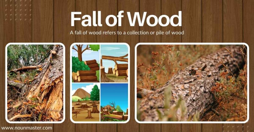 fall-of-wood