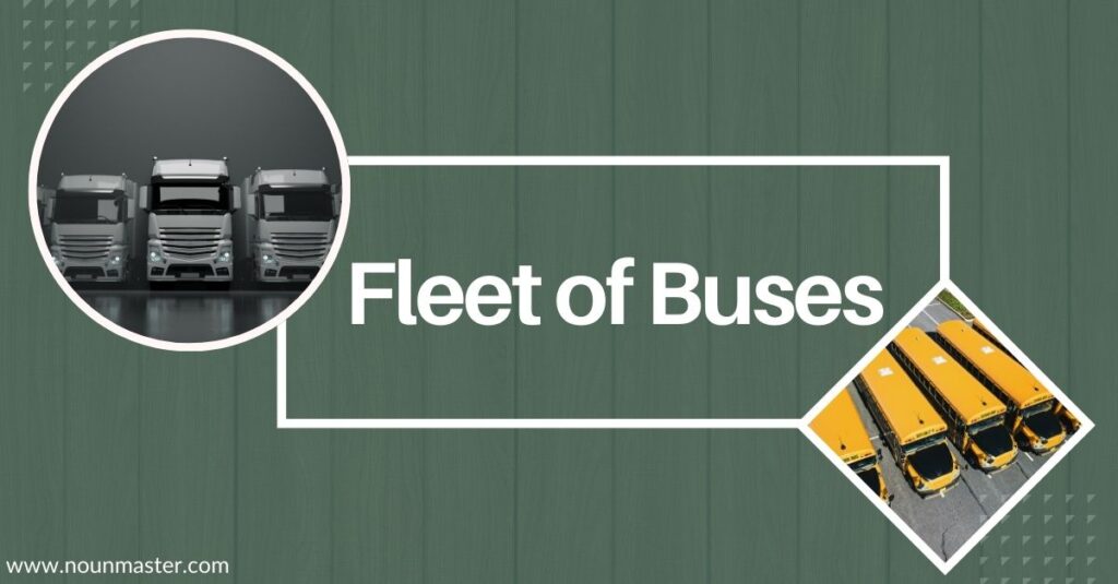 fleet-of-buses