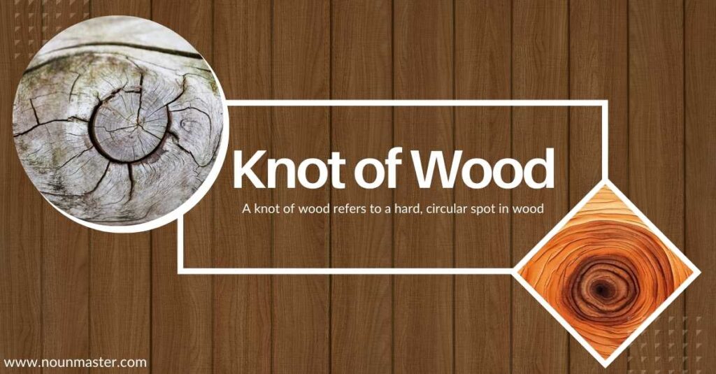 knot-of-wood