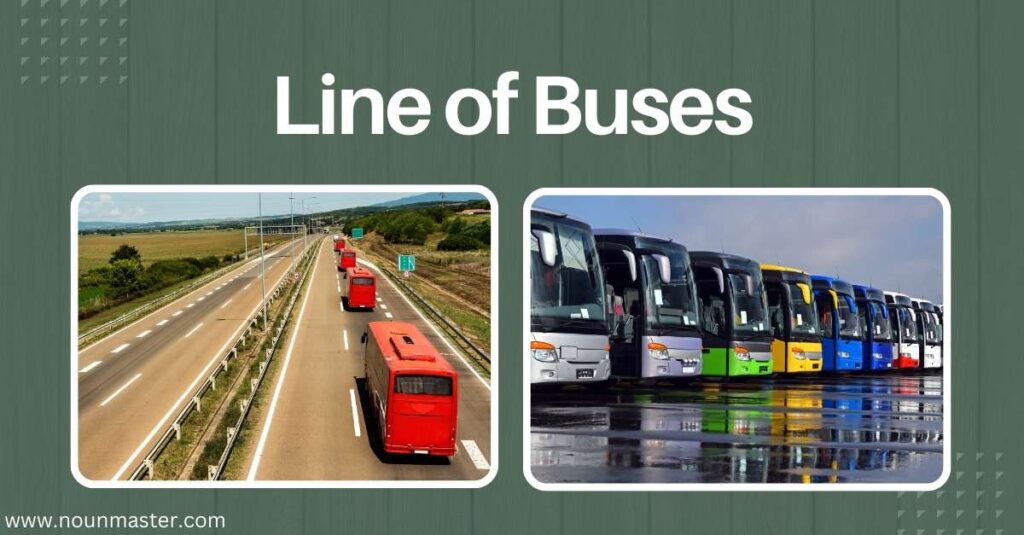 line-of-buses