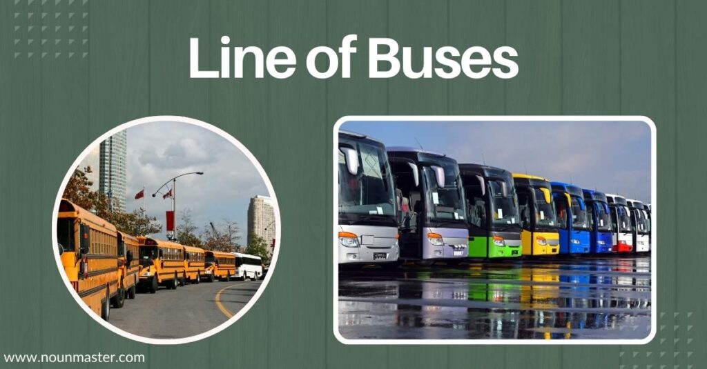 line-of-buses