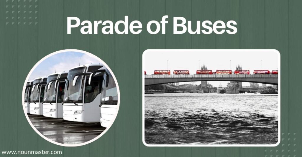 parade-of-buses