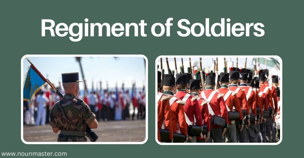 regiment-of-soldiers