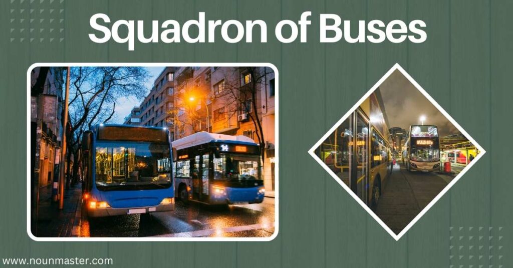 squadron-of-buses