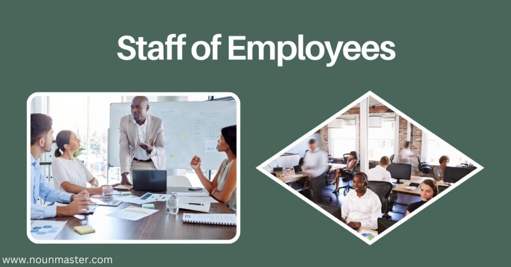 staff-of-employees