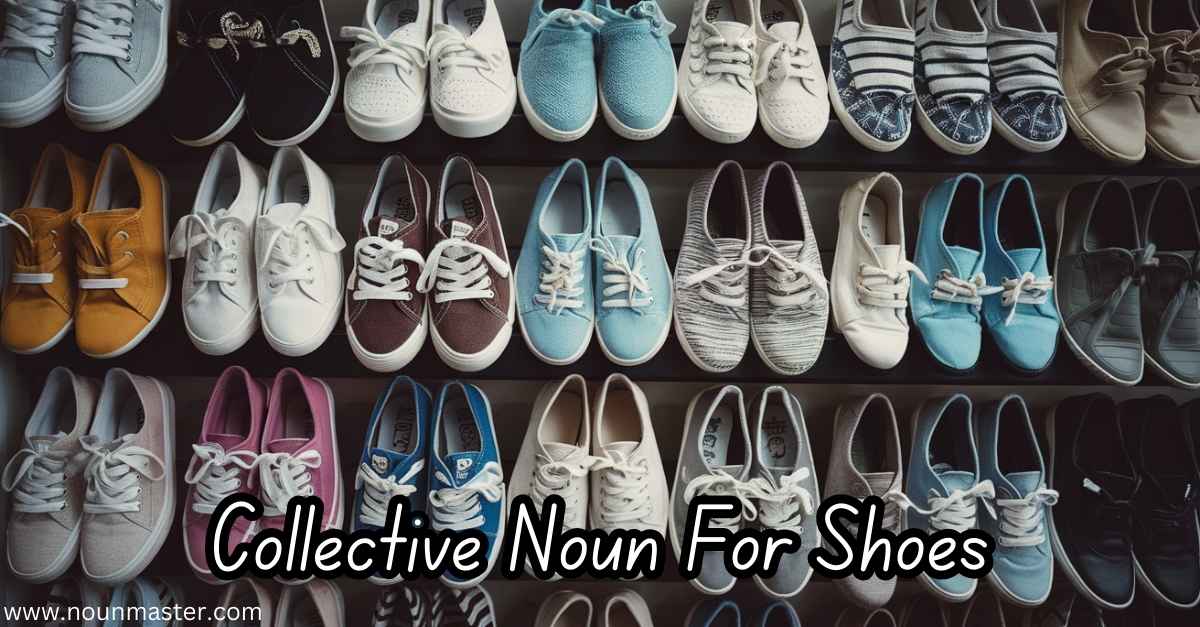 the-correct-collective-noun-for-shoes-and-other-unique-terms