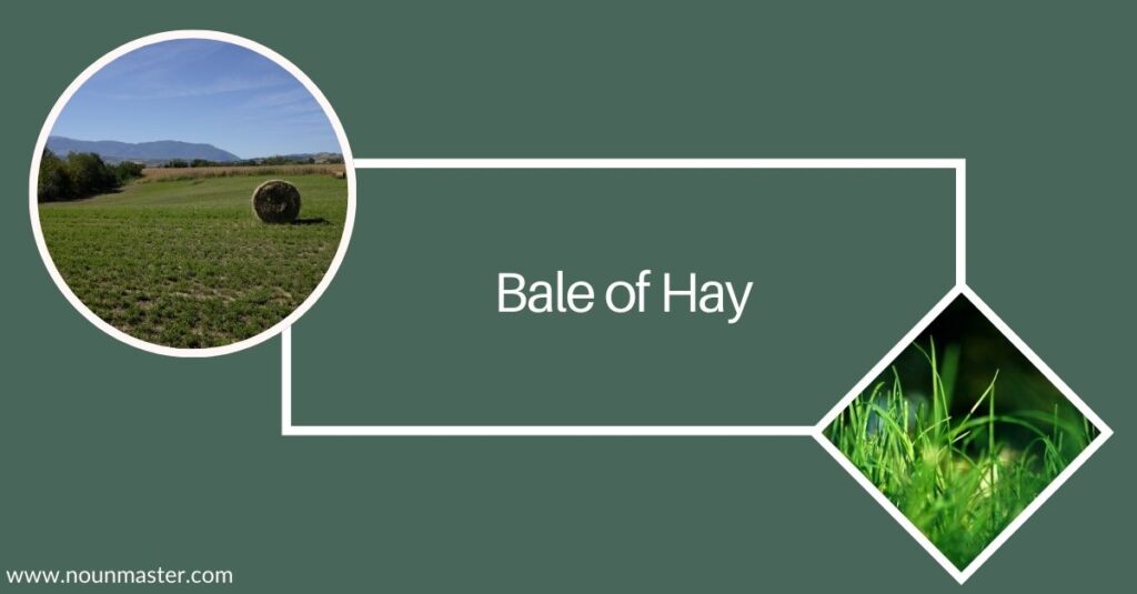 bale-of-hay