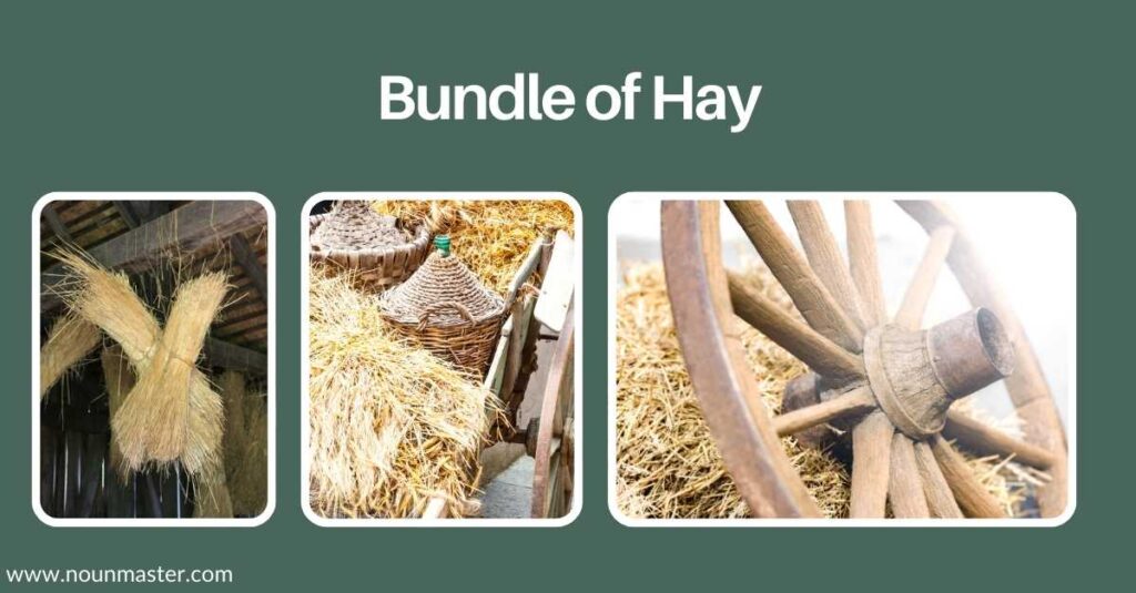 bundle-of-hay