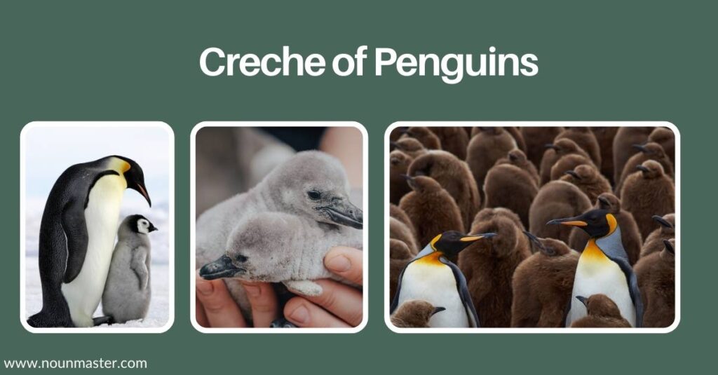 creche-of-penguins