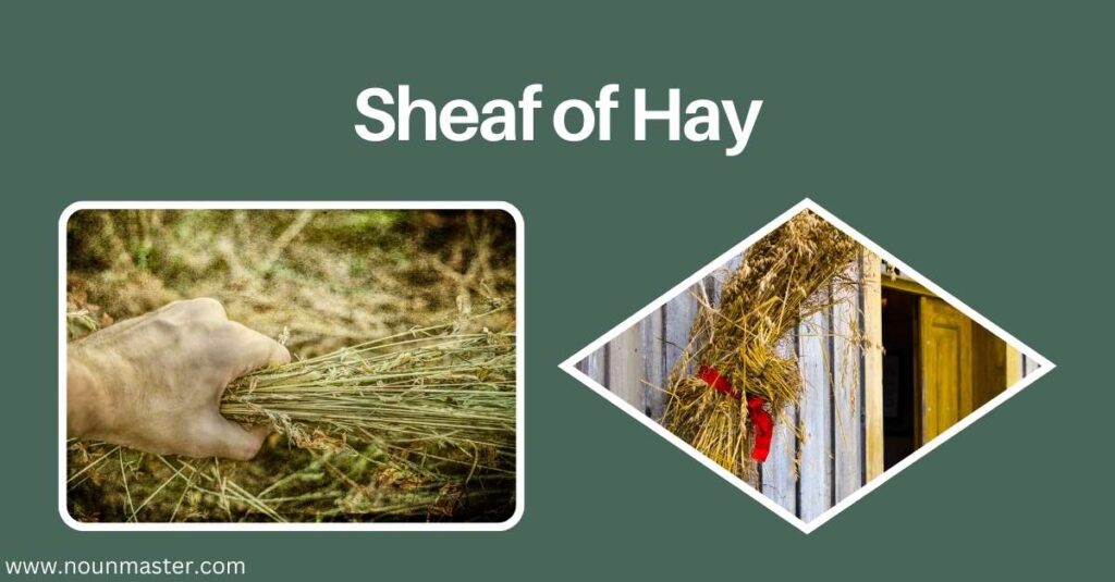 sheaf-of-hay