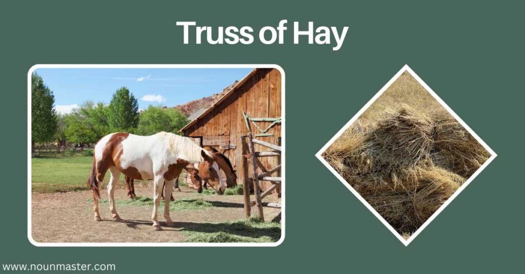 truss-of-hay