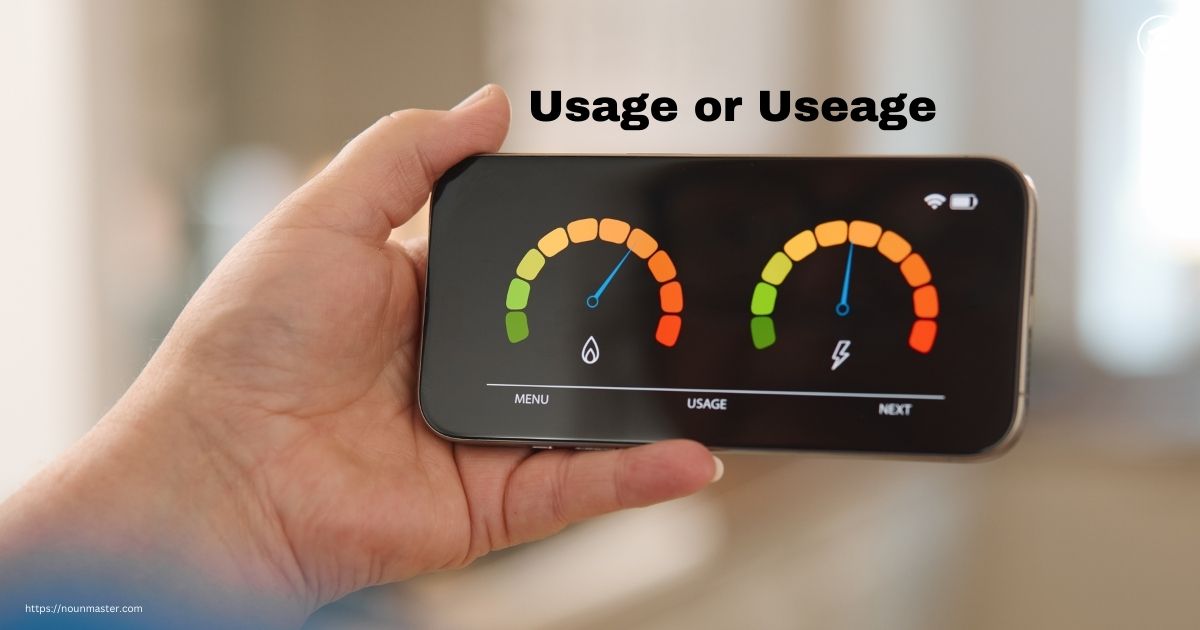 Usage or Useage