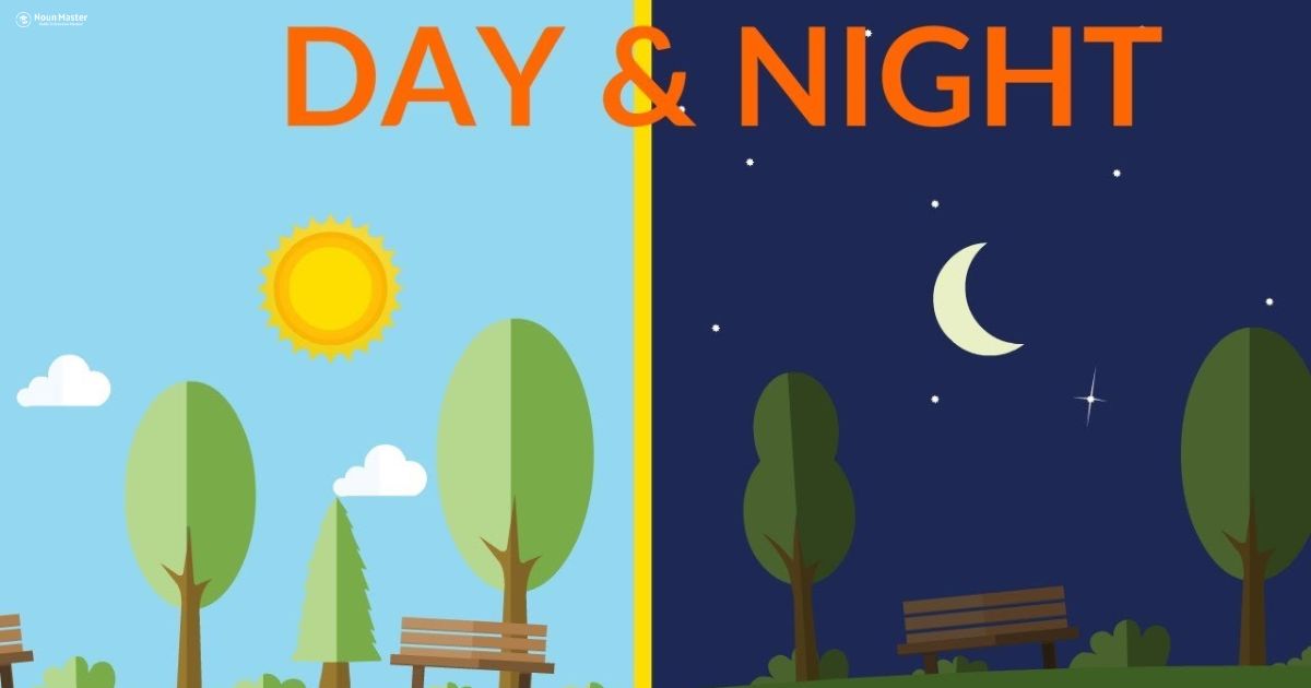 Night or Day: Which One Works Best for You?